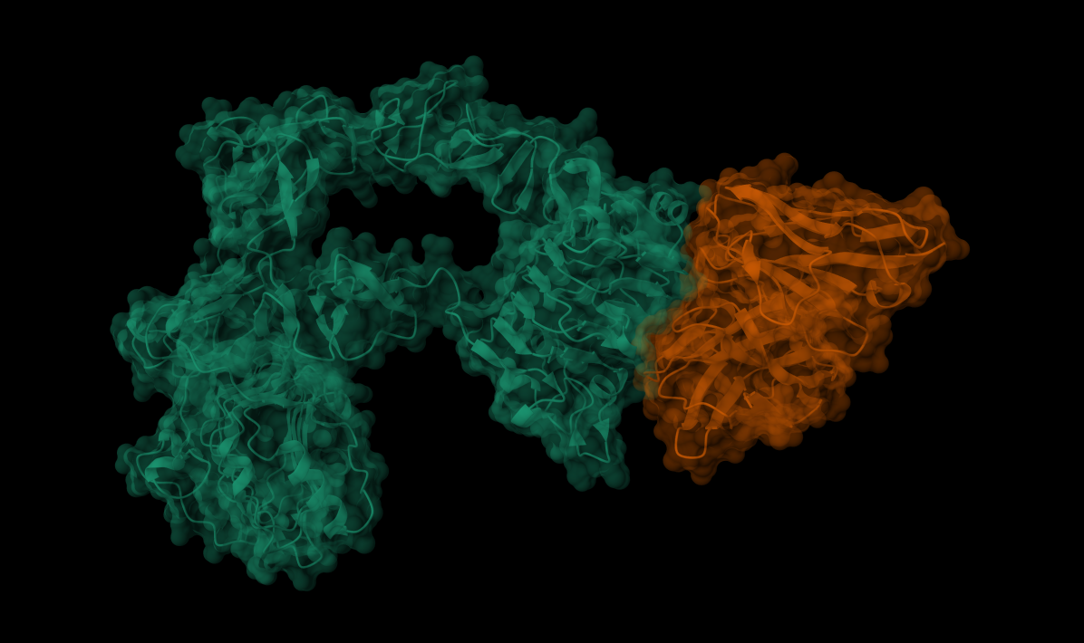 DSM: Protein Generation with Masked Diffusion
