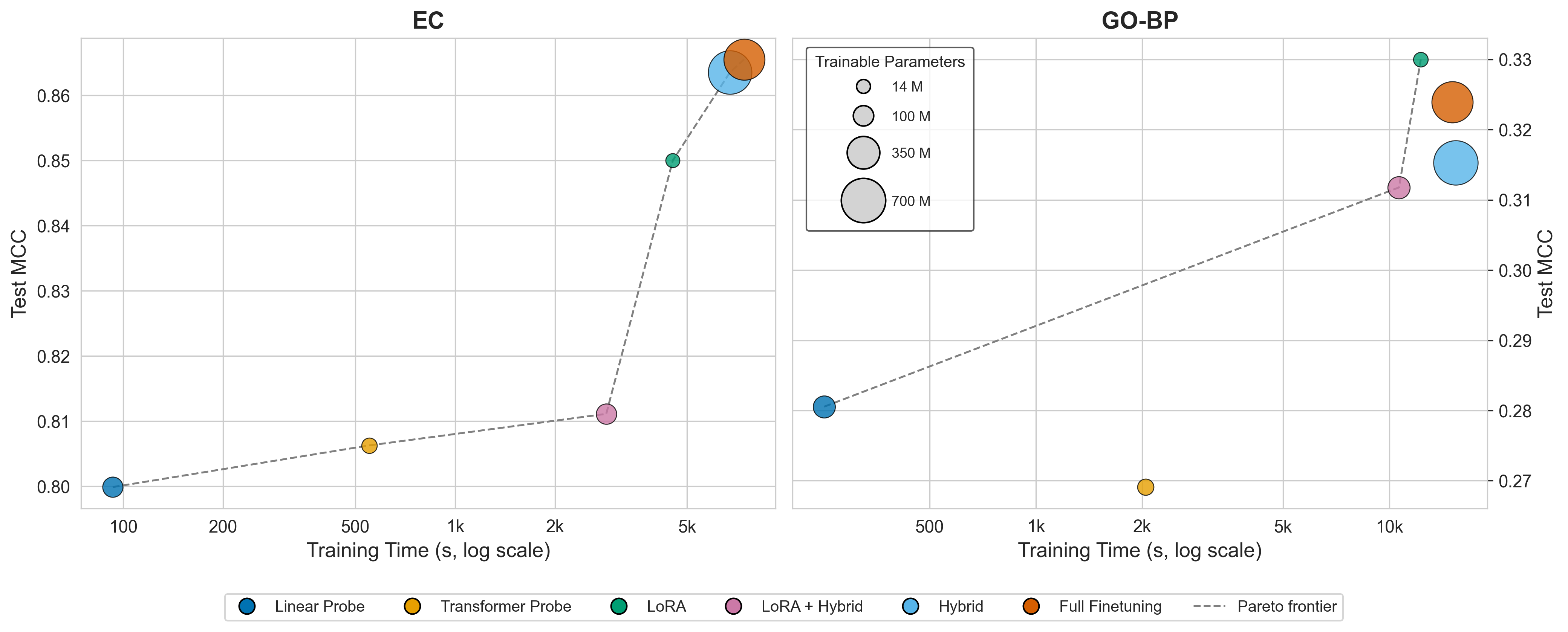 Protify transfer learning trade-offs
