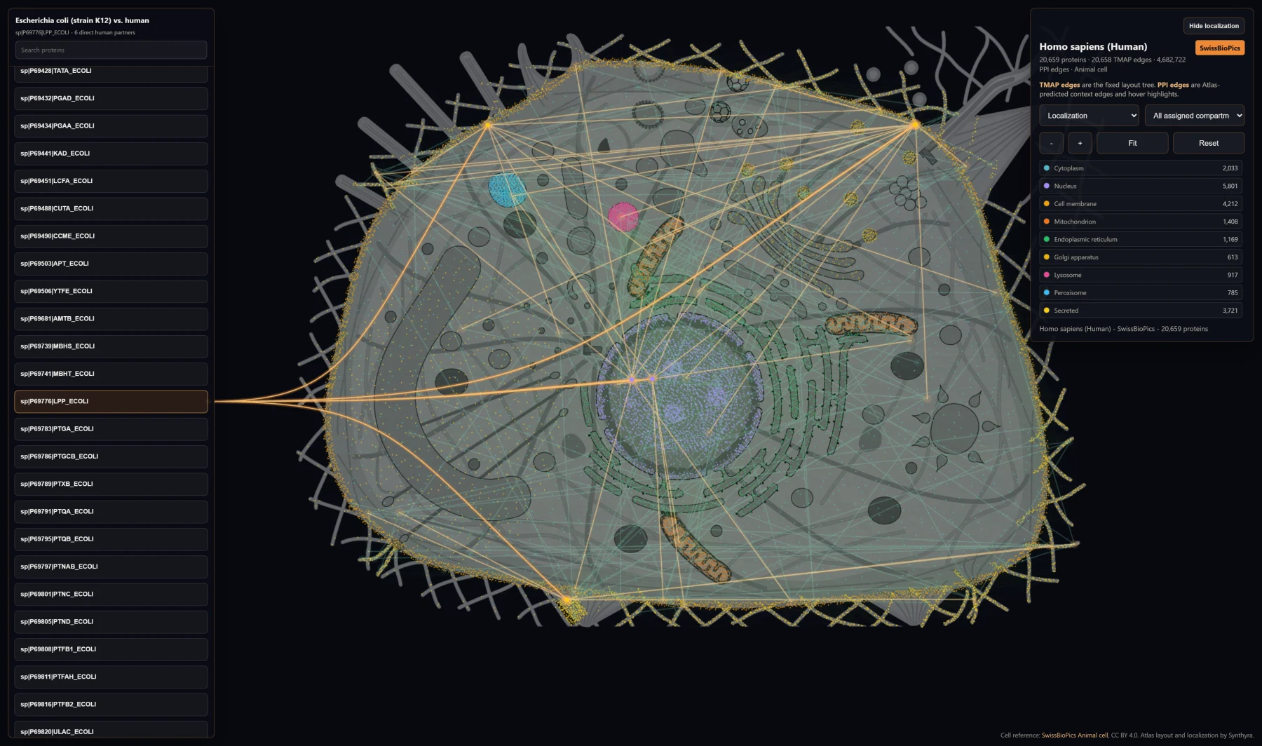 Atlas system map tracing a protein perturbation across predicted cellular relationships
